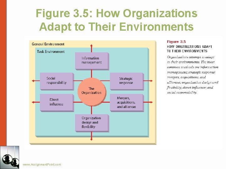 Figure 3. 5: How Organizations Adapt to Their Environments www. Assignment. Point. com 