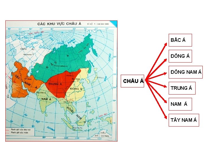 BẮC Á ĐÔNG NAM Á CH U Á TRUNG Á NAM Á T Y