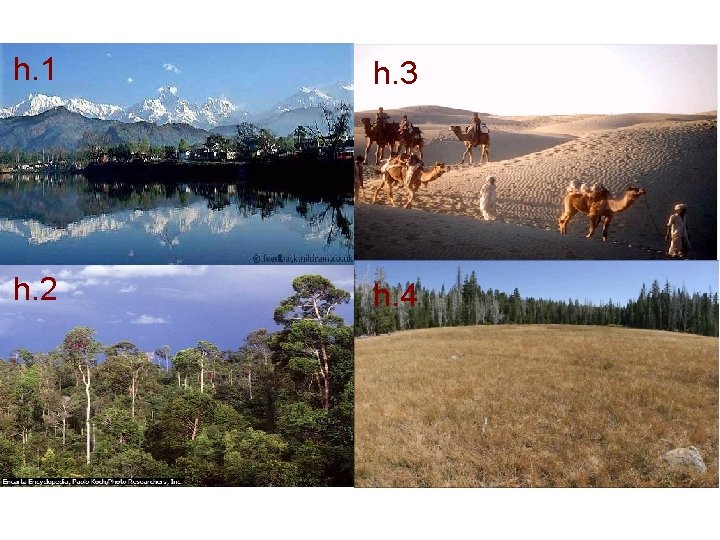 h. 1 Nói cao h. 2 Rừng nhiệt đới ẩm h. 3 Hoang mạc