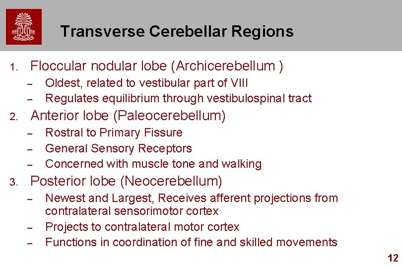 Transverse Cerebellar Regions 1. Floccular nodular lobe (Archicerebellum ) – – 2. Anterior lobe