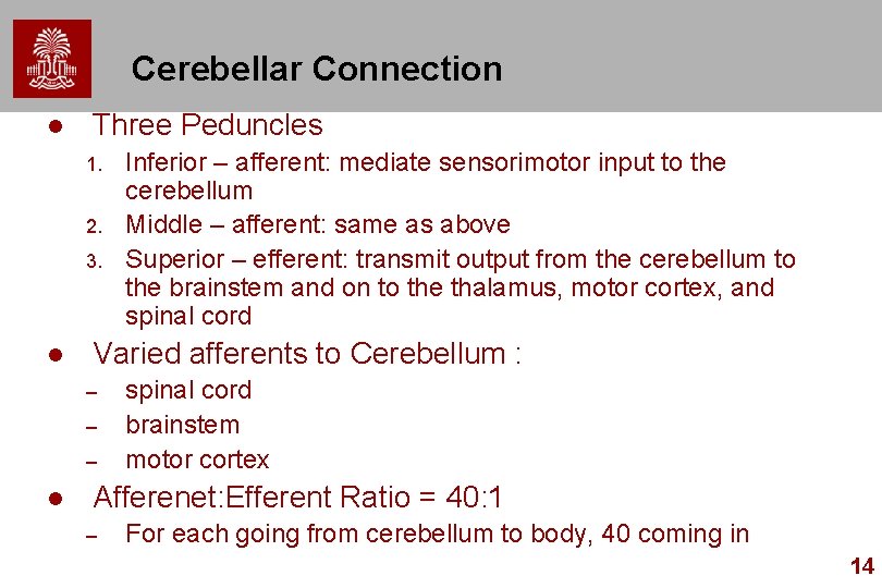 Cerebellar Connection l Three Peduncles 1. 2. 3. l Varied afferents to Cerebellum :