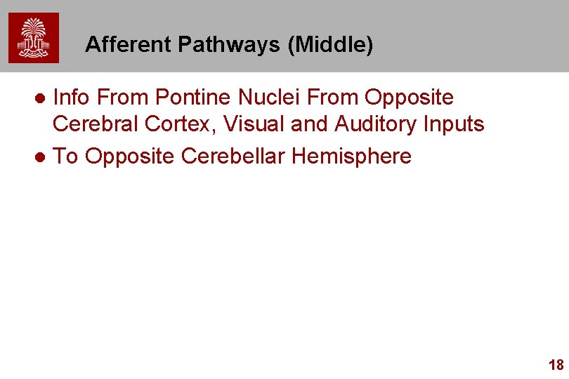 Afferent Pathways (Middle) Info From Pontine Nuclei From Opposite Cerebral Cortex, Visual and Auditory
