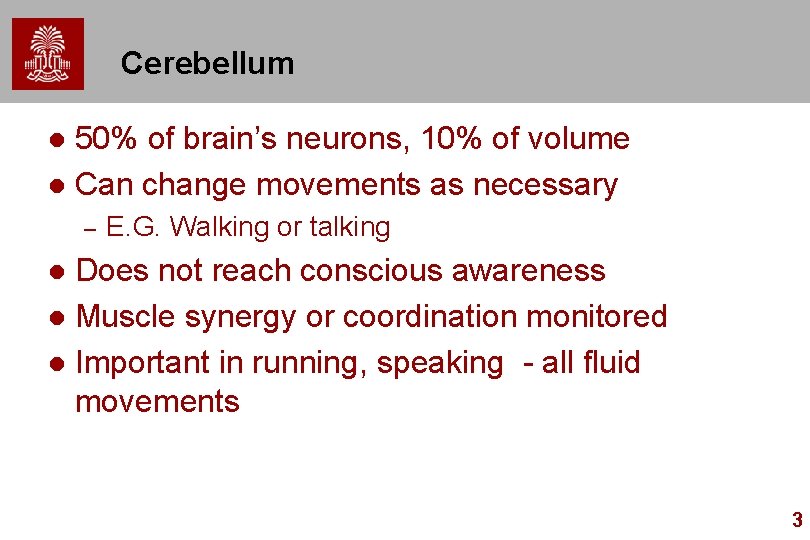 Cerebellum 50% of brain’s neurons, 10% of volume l Can change movements as necessary