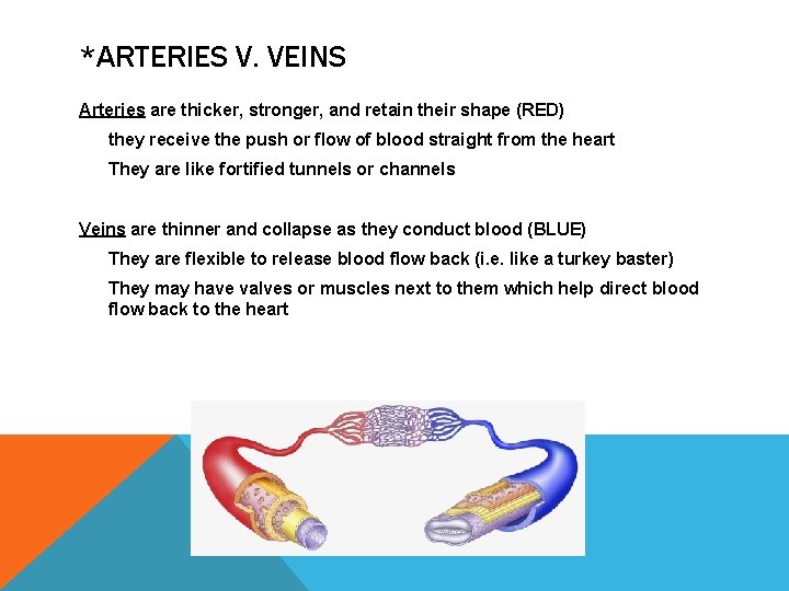 *ARTERIES V. VEINS Arteries are thicker, stronger, and retain their shape (RED) they receive