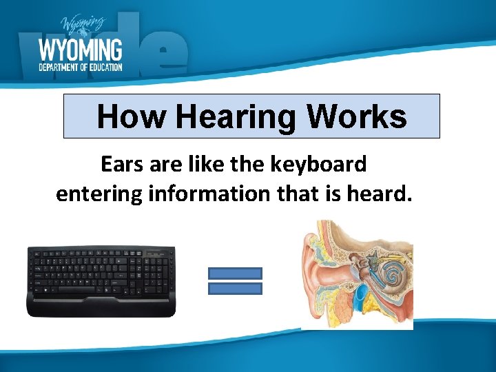 How Hearing Works Ears are like the keyboard entering information that is heard. 