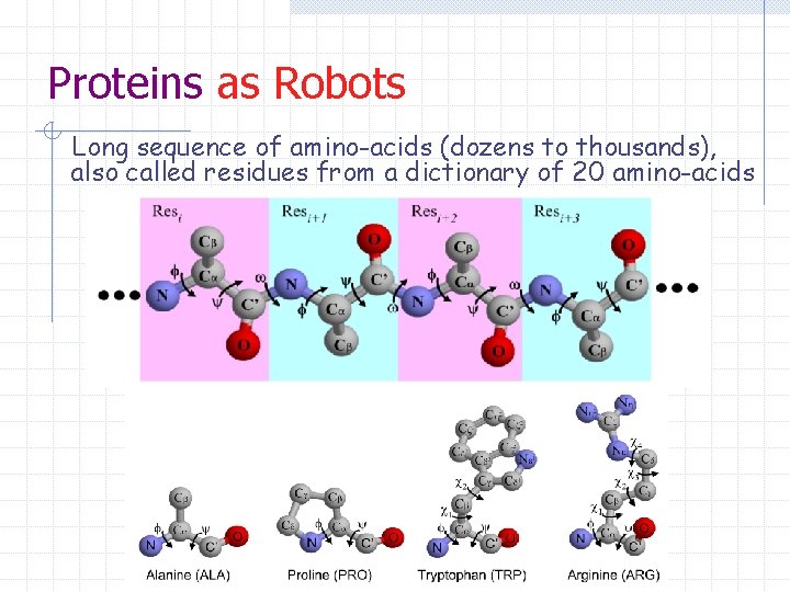 Proteins as Robots Long sequence of amino-acids (dozens to thousands), also called residues from