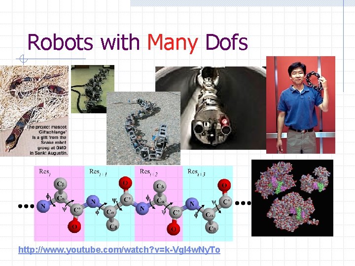 Robots with Many Dofs http: //www. youtube. com/watch? v=k-Vg. I 4 w. Ny. To