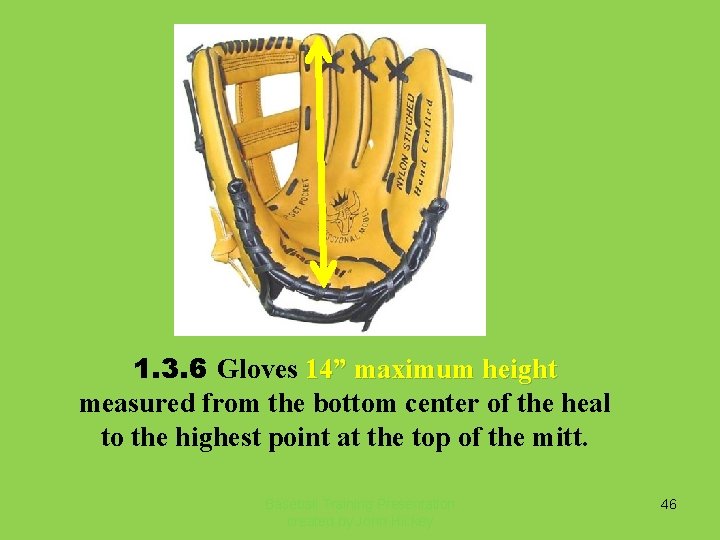 1. 3. 6 Gloves 14” maximum height measured from the bottom center of the