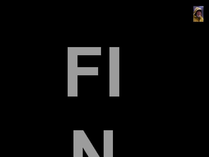 FI 