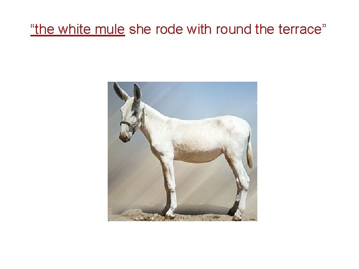 “the white mule she rode with round the terrace” 