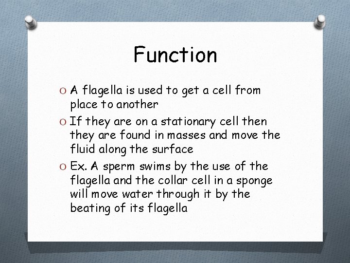 Function O A flagella is used to get a cell from place to another