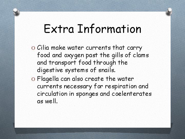 Extra Information O Cilia make water currents that carry food and oxygen past the