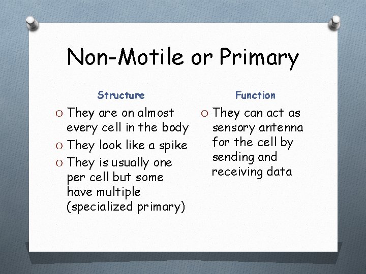 Non-Motile or Primary Structure O They are on almost every cell in the body