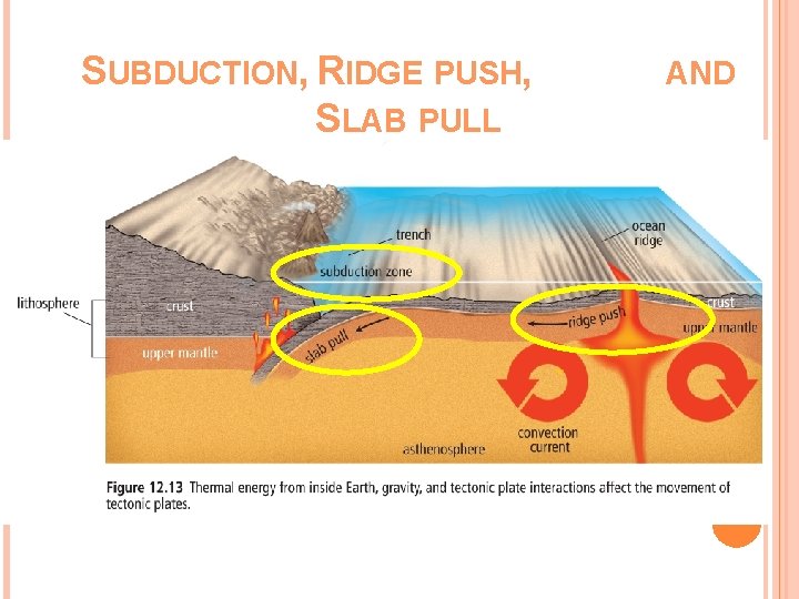 SUBDUCTION, RIDGE PUSH, SLAB PULL AND 