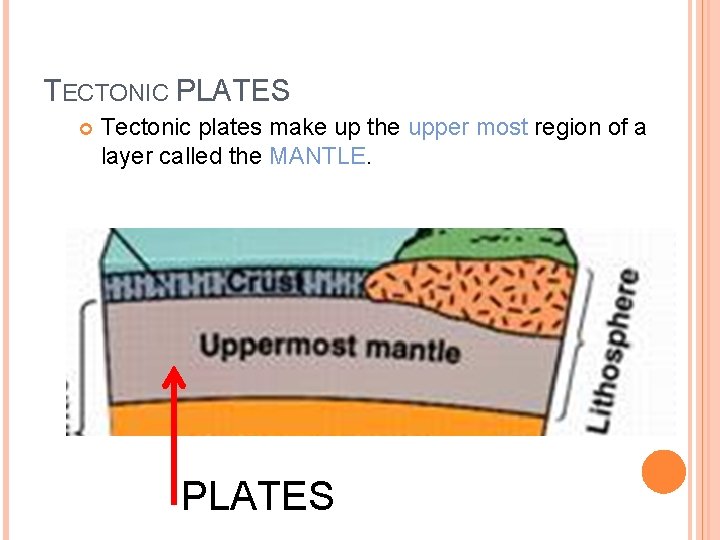 TECTONIC PLATES Tectonic plates make up the upper most region of a layer called