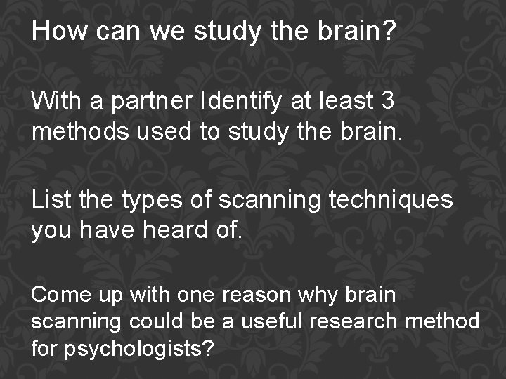 How can we study the brain? With a partner Identify at least 3 methods