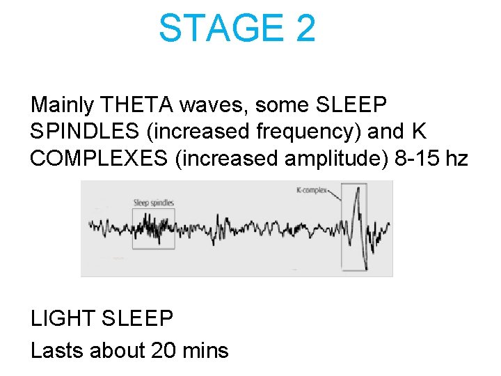 STAGE 2 Mainly THETA waves, some SLEEP SPINDLES (increased frequency) and K COMPLEXES (increased