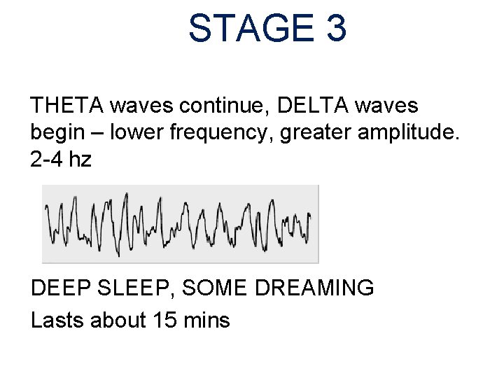 STAGE 3 THETA waves continue, DELTA waves begin – lower frequency, greater amplitude. 2
