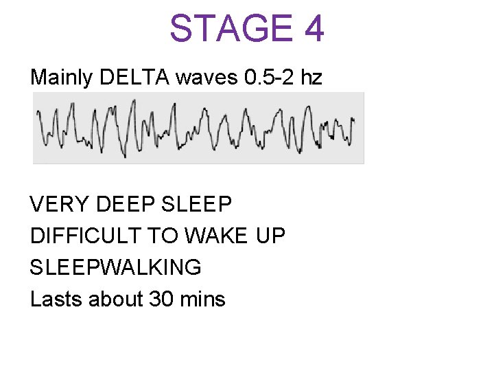 STAGE 4 Mainly DELTA waves 0. 5 -2 hz VERY DEEP SLEEP DIFFICULT TO
