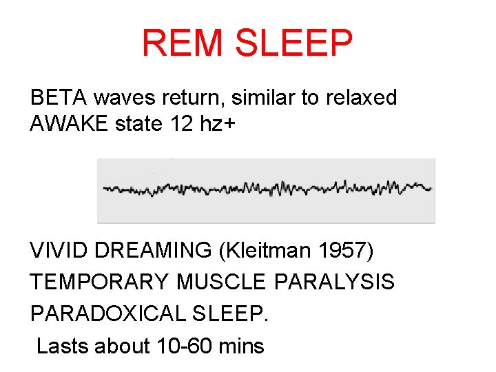 REM SLEEP BETA waves return, similar to relaxed AWAKE state 12 hz+ VIVID DREAMING
