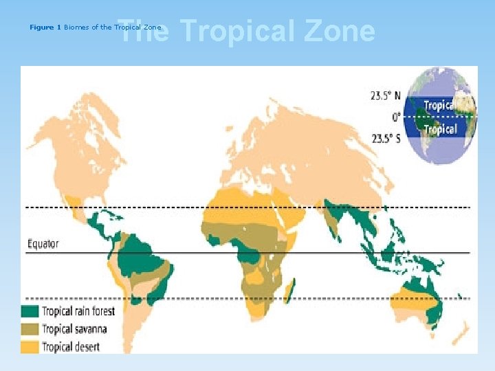 The Tropical Zone Figure 1 Biomes of the Tropical Zone 