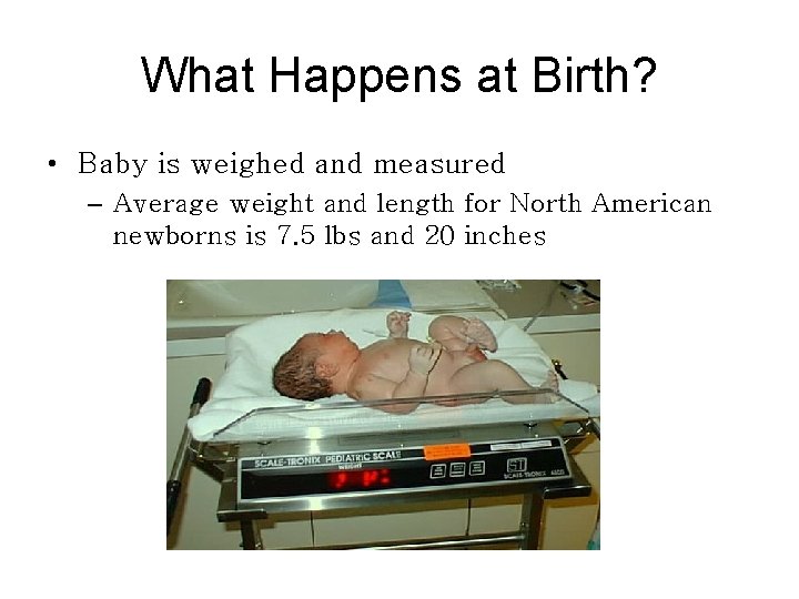 What Happens at Birth? • Baby is weighed and measured – Average weight and