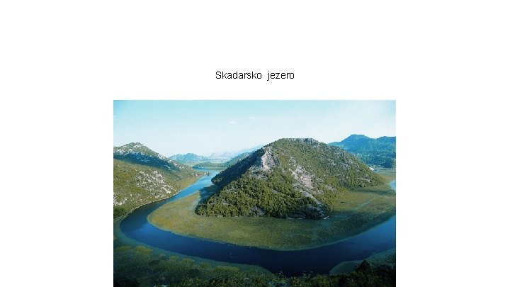 Skadarsko jezero Skadarsko jezero