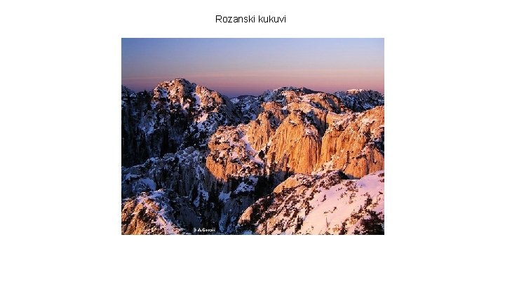 Rozanski kukuvi Rozanski kukuvi