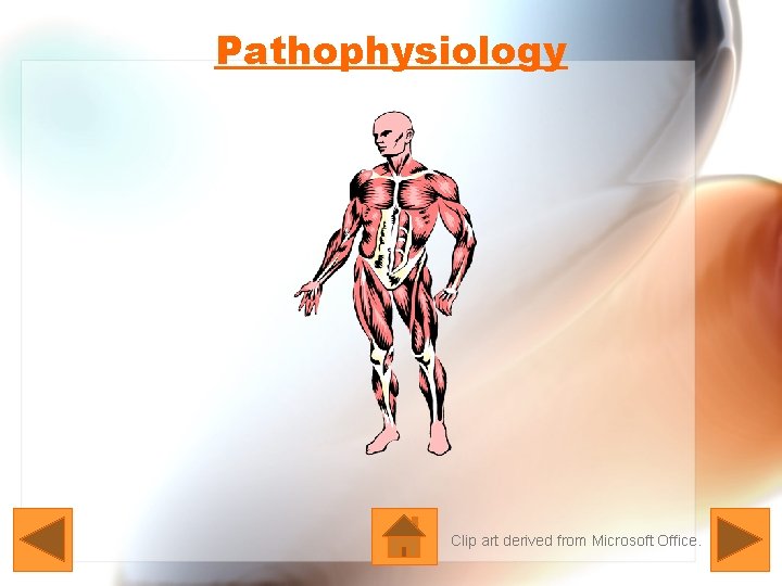 Pathophysiology Clip art derived from Microsoft Office. 