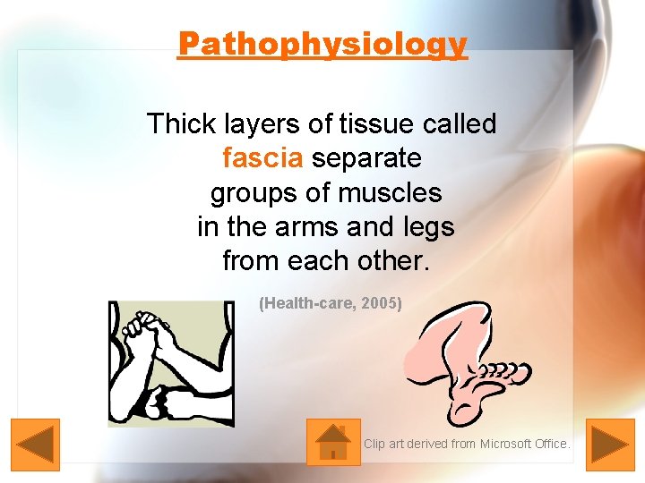 Pathophysiology Thick layers of tissue called fascia separate groups of muscles in the arms