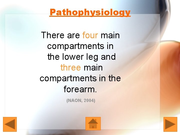 Pathophysiology There are four main compartments in the lower leg and three main compartments