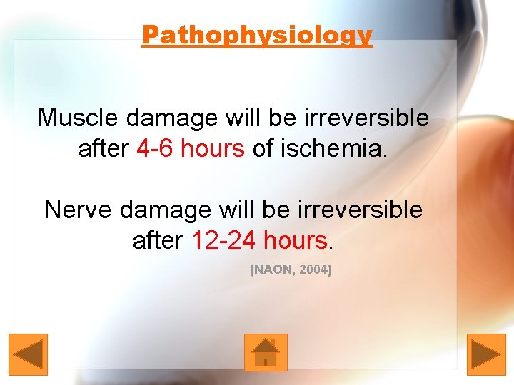 Pathophysiology Muscle damage will be irreversible after 4 -6 hours of ischemia. Nerve damage