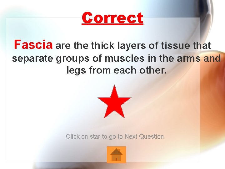 Correct Fascia are thick layers of tissue that separate groups of muscles in the