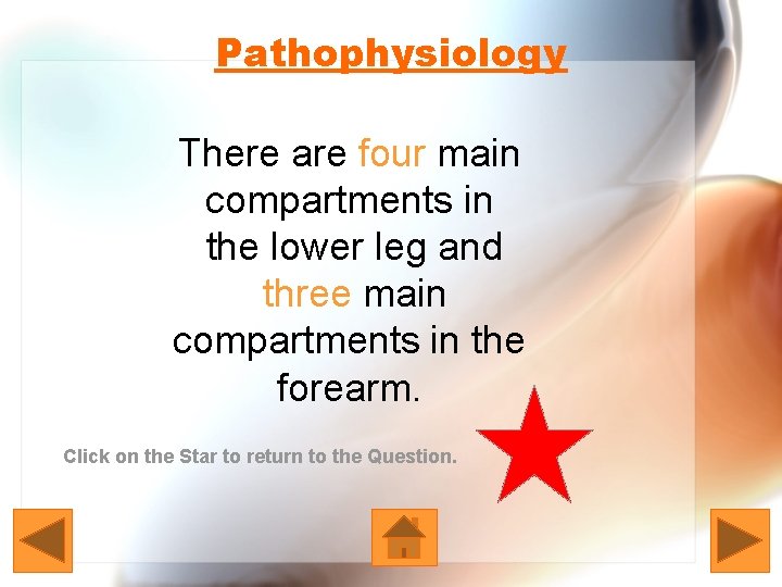 Pathophysiology There are four main compartments in the lower leg and three main compartments