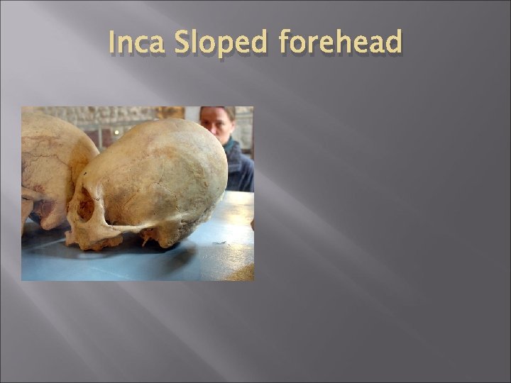 Inca Sloped forehead 