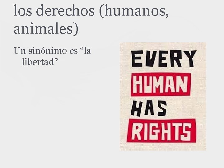 los derechos (humanos, animales) Un sinónimo es “la libertad” 