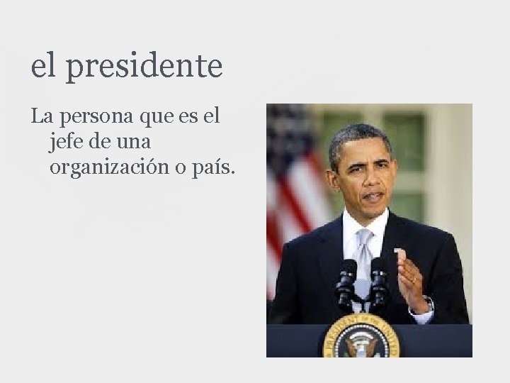 el presidente La persona que es el jefe de una organización o país. 