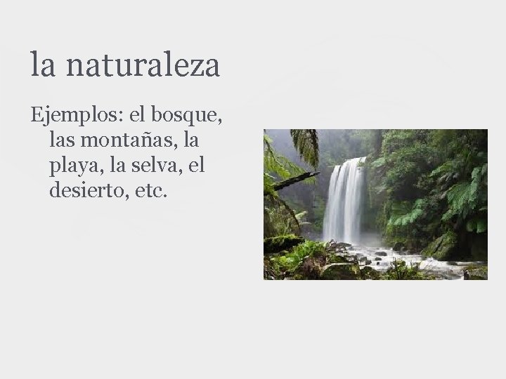 la naturaleza Ejemplos: el bosque, las montañas, la playa, la selva, el desierto, etc.