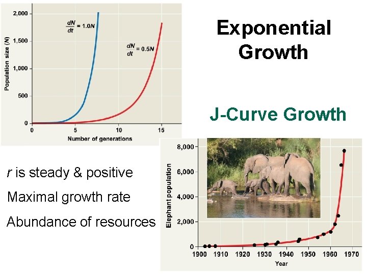 Exponential Growth J-Curve Growth r is steady & positive Maximal growth rate Abundance of