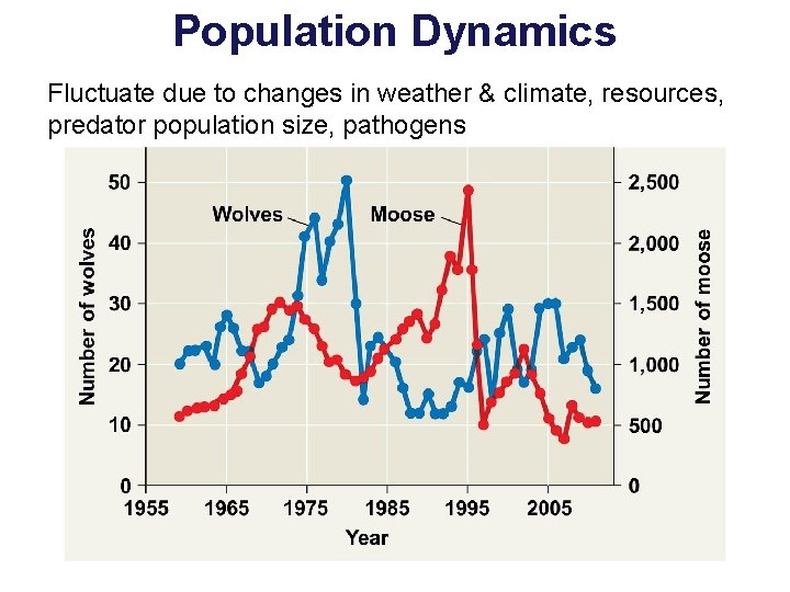 Population Dynamics Fluctuate due to changes in weather & climate, resources, predator population size,