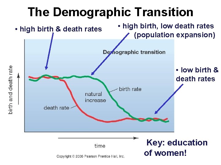 The Demographic Transition • high birth & death rates • high birth, low death