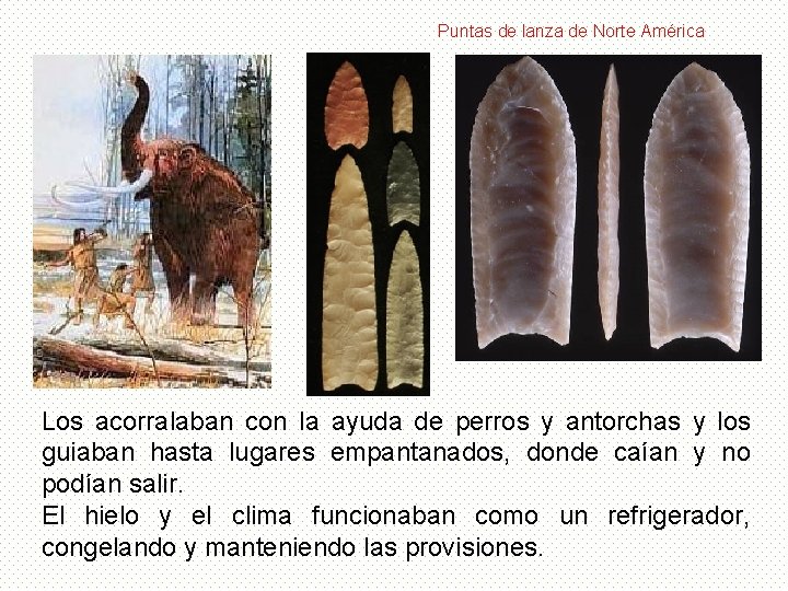 Puntas de lanza de Norte América Los acorralaban con la ayuda de perros y