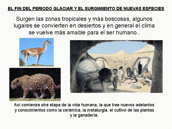 EL FIN DEL PERIODO GLACIAR Y EL SURGIMIENTO DE NUEVAS ESPECIES Surgen las zonas