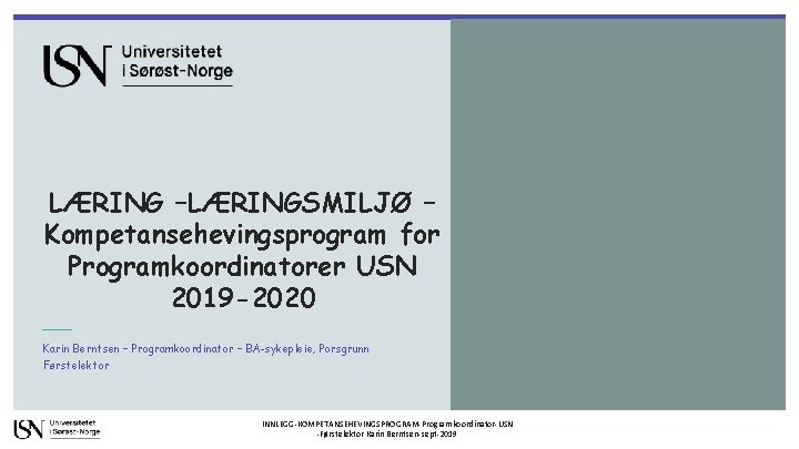 LÆRING –LÆRINGSMILJØ – Kompetansehevingsprogram for Programkoordinatorer USN 2019 -2020 Karin Berntsen – Programkoordinator –
