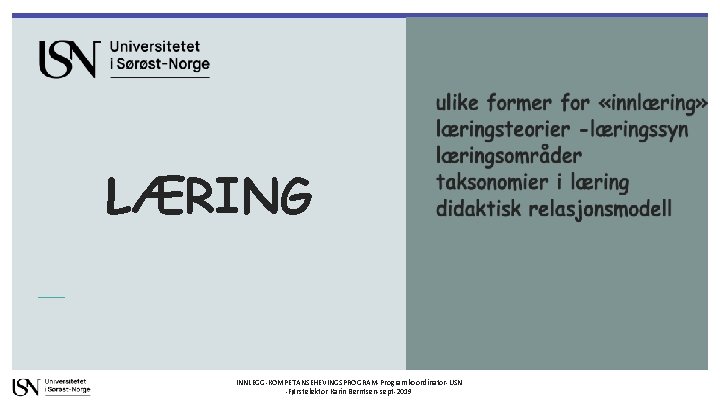 LÆRING INNLEGG-KOMPETANSEHEVINGSPROGRAM-Programkoordinator-USN -Førstelektor Karin Berntsen-sept-2019 
