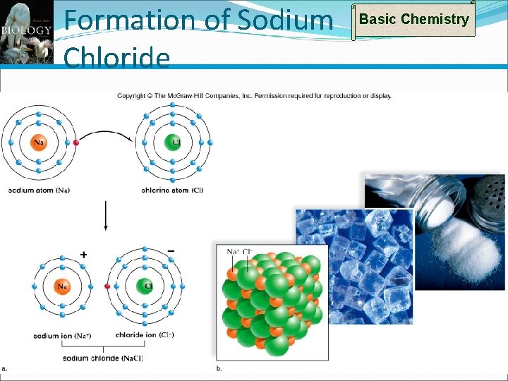 Formation of Sodium Chloride Basic Chemistry 19 