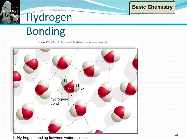 Hydrogen Bonding Basic Chemistry 26 