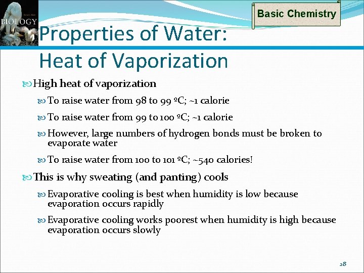 Properties of Water: Heat of Vaporization Basic Chemistry High heat of vaporization To raise