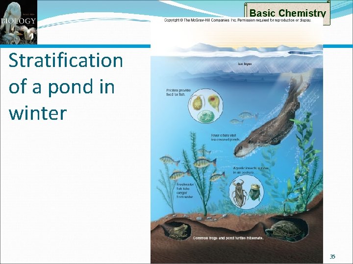 Basic Chemistry Stratification of a pond in winter 35 