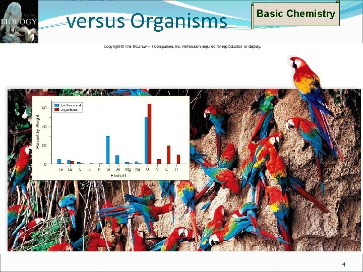 Crust versus Organisms Basic Chemistry 4 